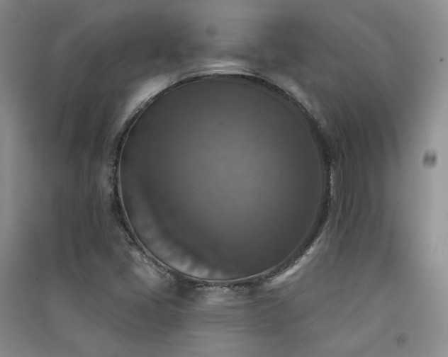 X0000091511405200708171146
