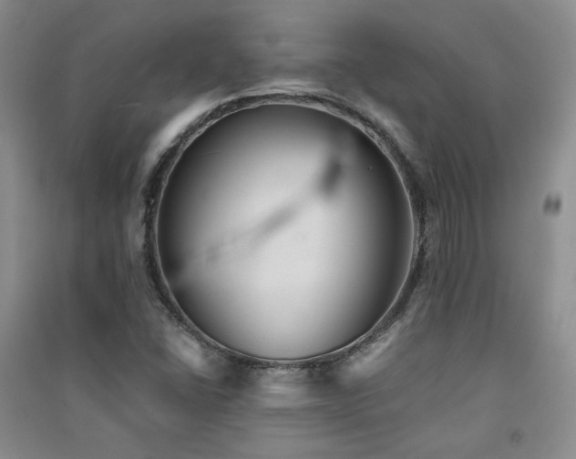 X0000091511406200708171146