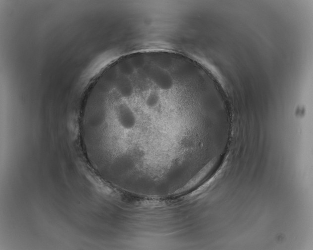 X0000091511407200708171146