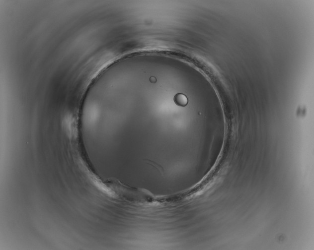 X0000091511409200708171146