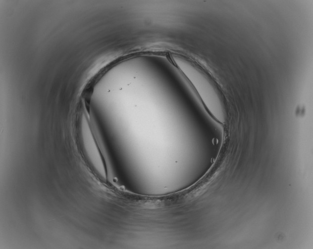 X0000091511410200708171146