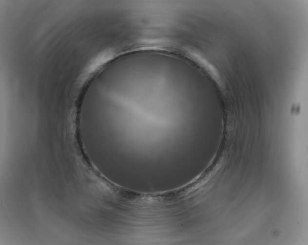 X0000091511411200708171146