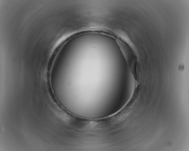 X0000091511412200708171146