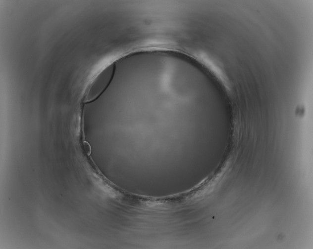 X0000091511413200708171146