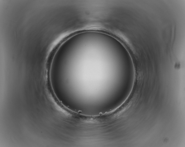 X0000091511414200708171146