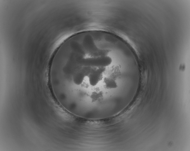 X0000091511415200708171146