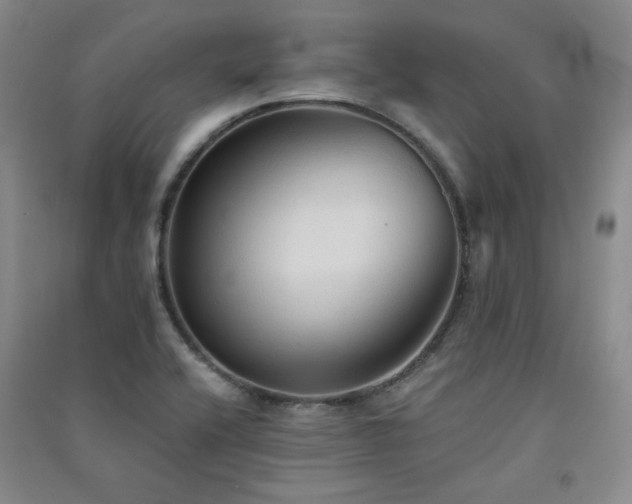 X0000091511416200708171146