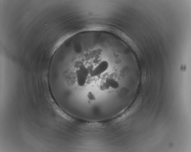 X0000091511417200708171146