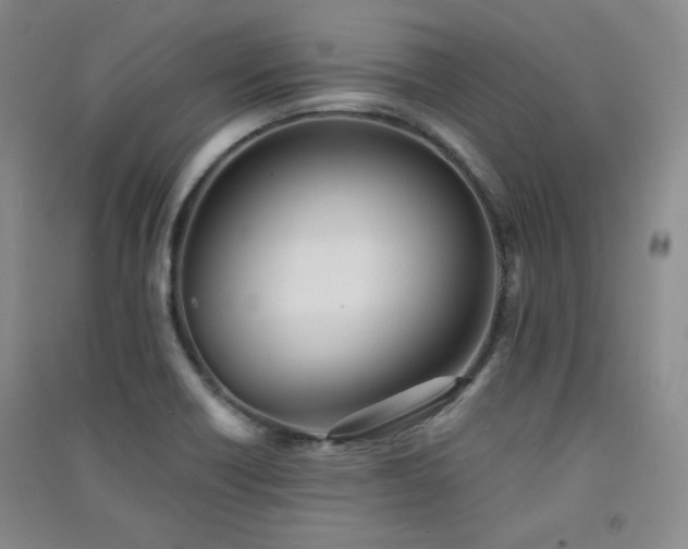 X0000091511418200708171146
