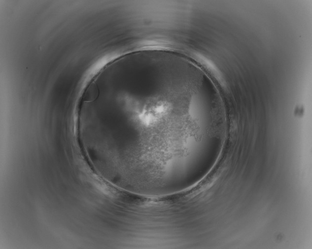 X0000091511419200708171146
