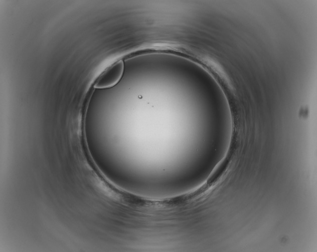 X0000091511420200708171146