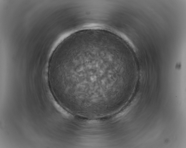 X0000091511421200708171146