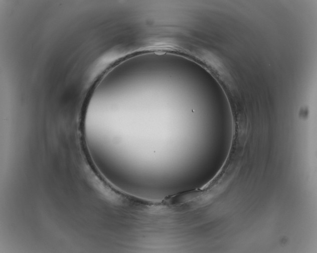 X0000091511422200708171146
