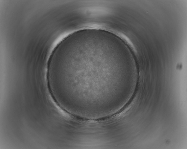 X0000091511424200708171146