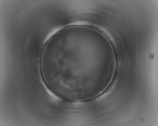X0000091511425200708171146