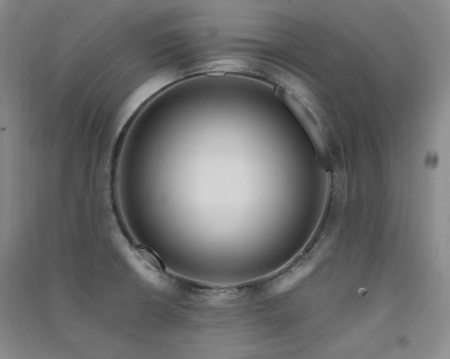 X0000091511426200708171146