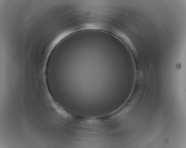 X0000091511427200708171146
