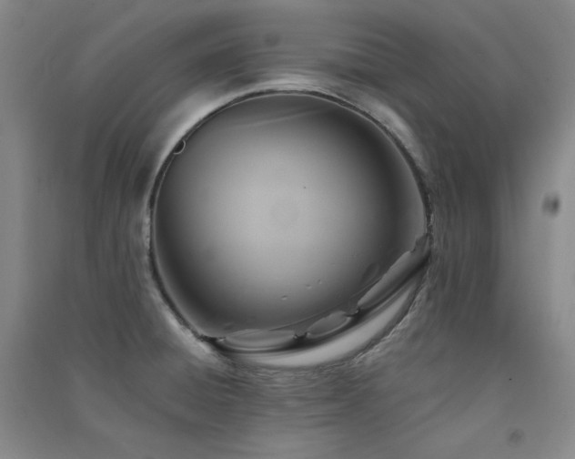 X0000091511428200708171146
