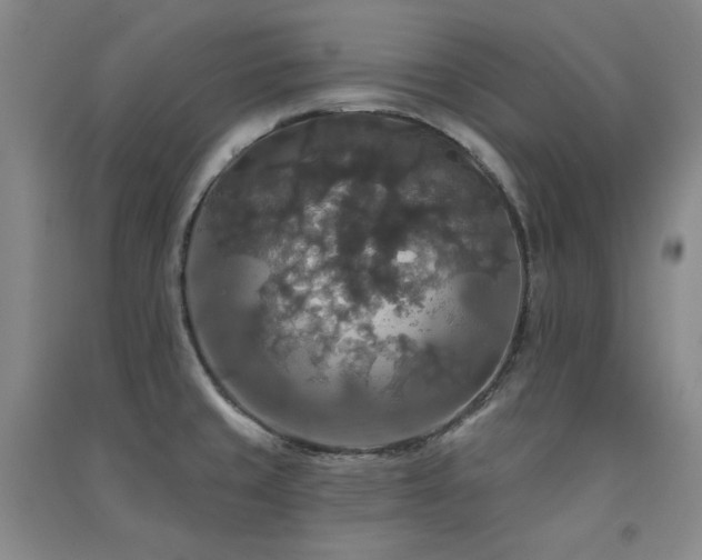 X0000091511429200708171146