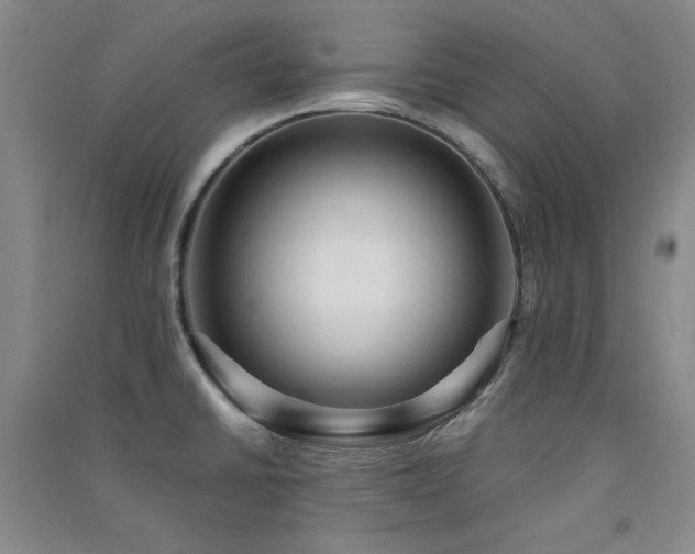 X0000091511430200708171146