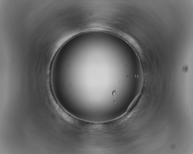 X0000091511431200708171146