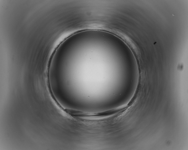 X0000091511432200708171146