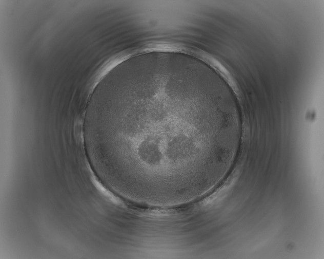 X0000091511433200708171146