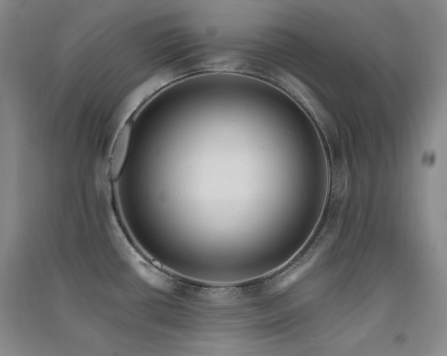 X0000091511434200708171146