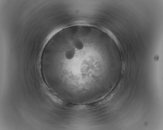 X0000091511435200708171147