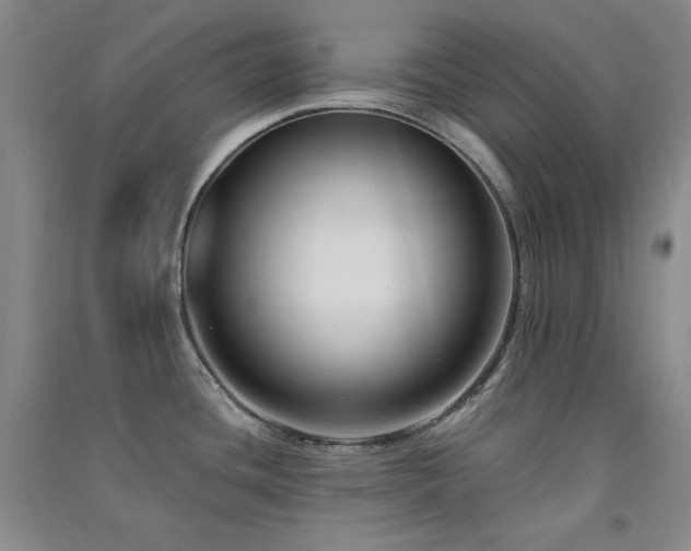 X0000091511436200708171147