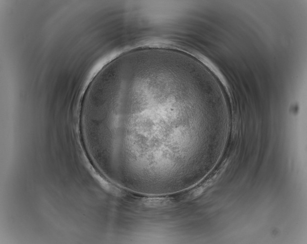 X0000091511437200708171147