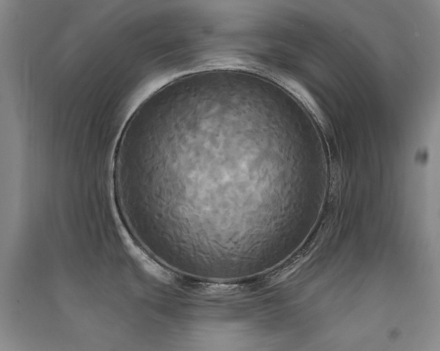 X0000091511439200708171147