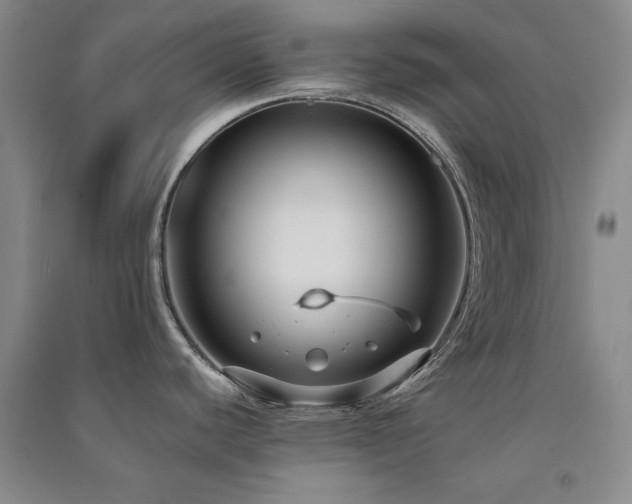 X0000091511440200708171147