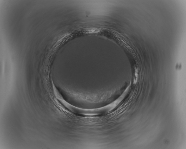 X0000091511441200708171146