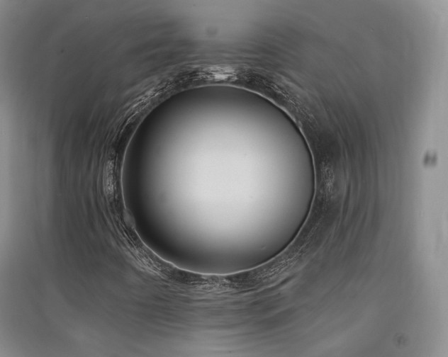 X0000091511442200708171146