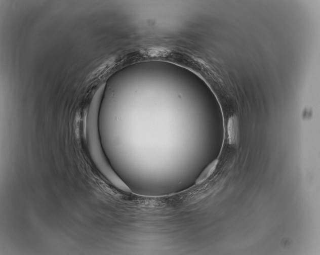 X0000091511443200708171146
