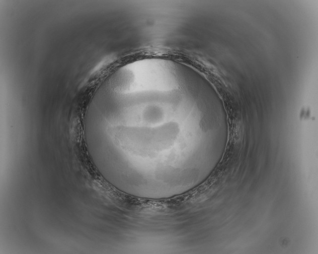 X0000091511446200708171146