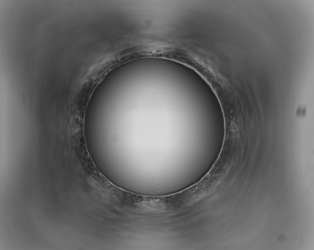 X0000091511447200708171146