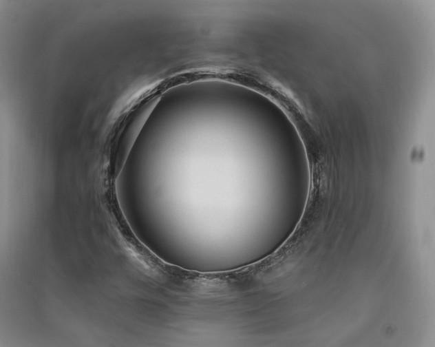 X0000091511448200708171146