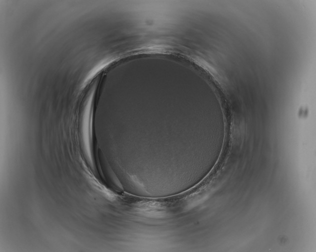 X0000091511450200708171146