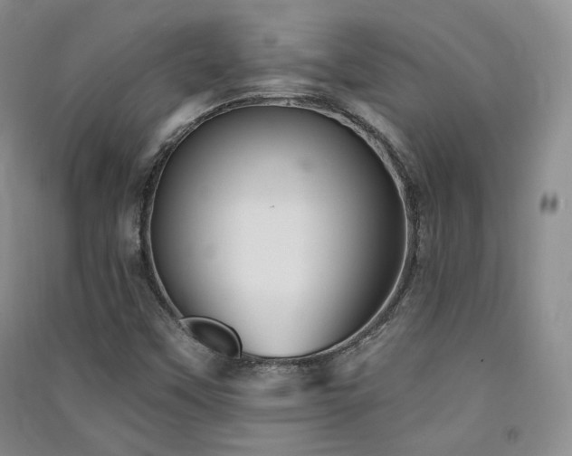 X0000091511451200708171146
