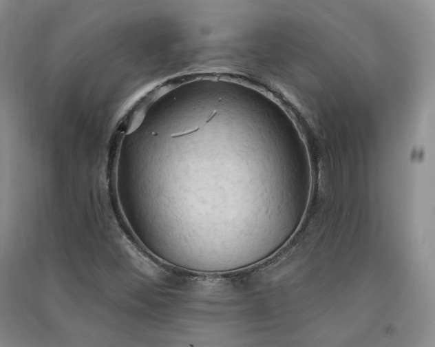 X0000091511452200708171146