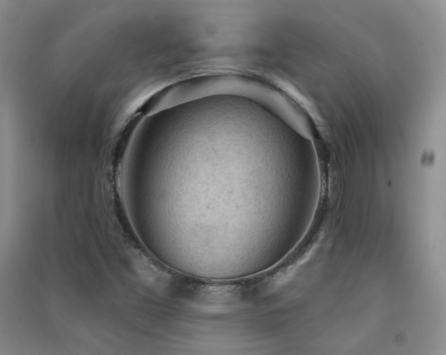 X0000091511453200708171146