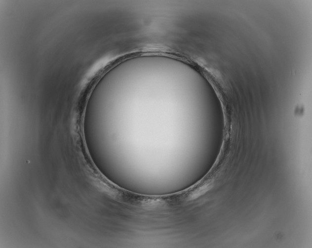 X0000091511454200708171146