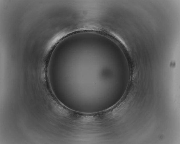 X0000091511455200708171146