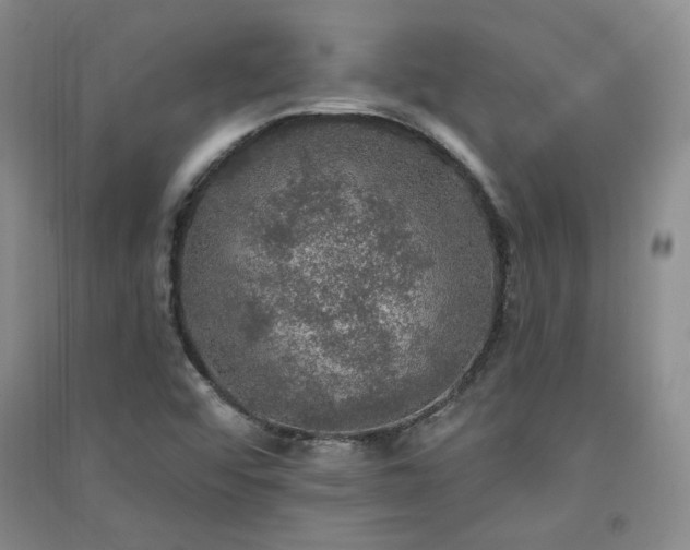 X0000091511456200708171146