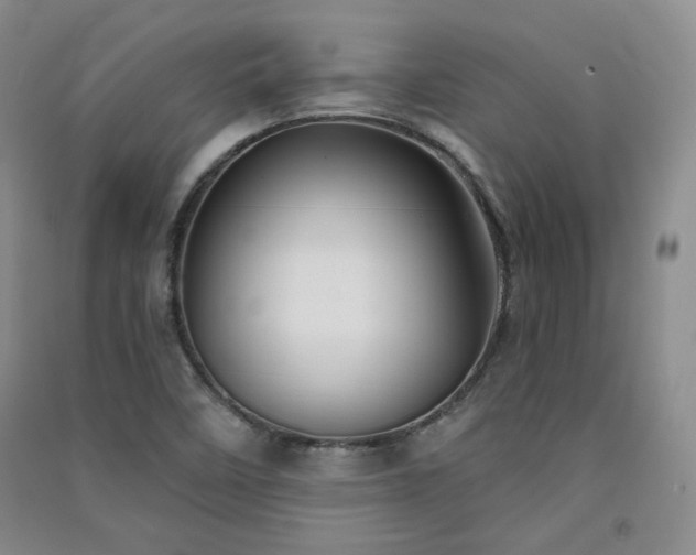 X0000091511458200708171146