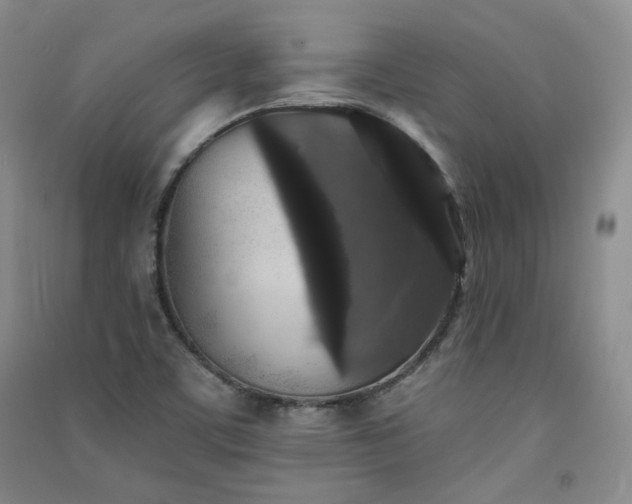 X0000091511459200708171146