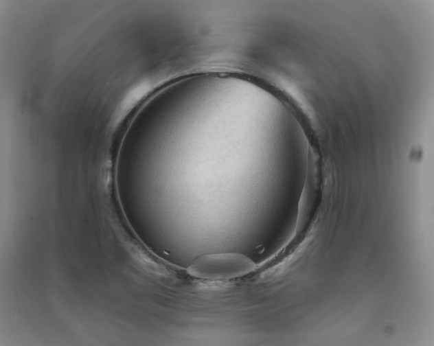 X0000091511461200708171146