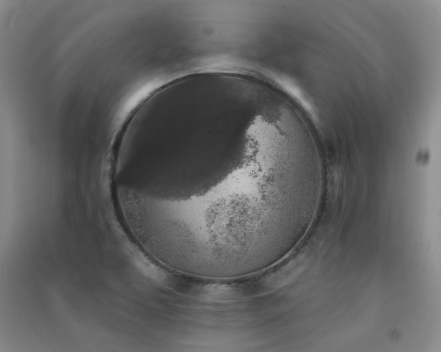 X0000091511463200708171146